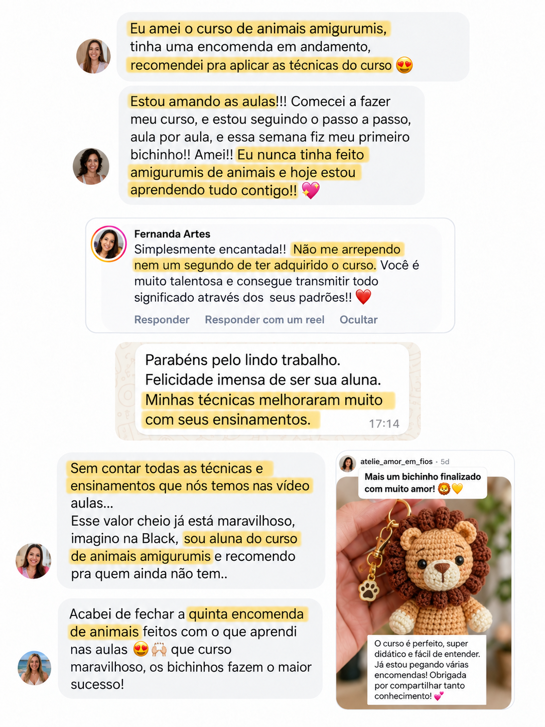 Mensagens e resultados de alunas de amigurumi